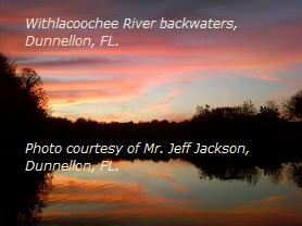 Withlacoochee River backwaters, Dunnellon, FL.